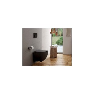 Creavit Free Wall Hung All in One Combined Bidet Pan Anthracite Matt Package