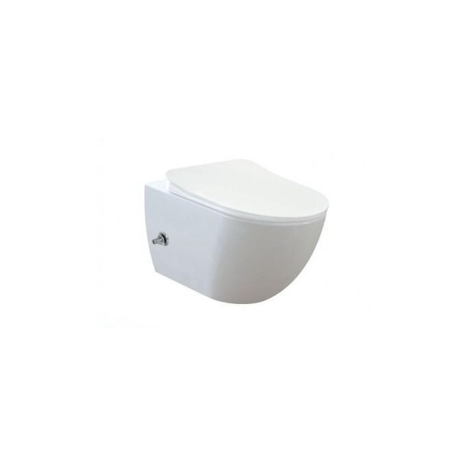 Free Wall Hung Pan Combined Bidet With Integrated Bidet Faucet (Hot & Cold Water Connection)
