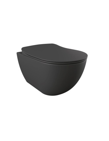 Creavit Free Wall Hung All in One Combined Bidet Pan with Soft Close Seat Anthracite Matt