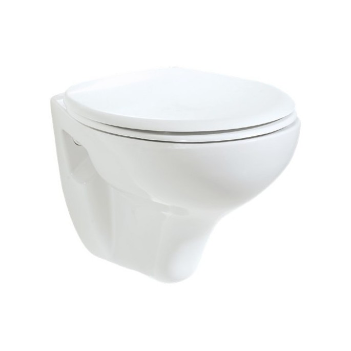 Standard Wall Hung WC Pan and Soft Seat