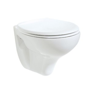 Standard Wall Hung WC Pan and Soft Seat